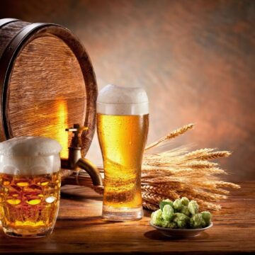 BEER HOPS PLANT SEEDS FOR SALE HERE ONLINE AUSTRALIA $4