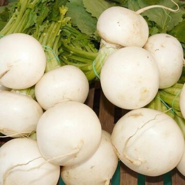 JAPANESE TURNIP ROUND WHITE SEEDS 4 SALE OZ $$4