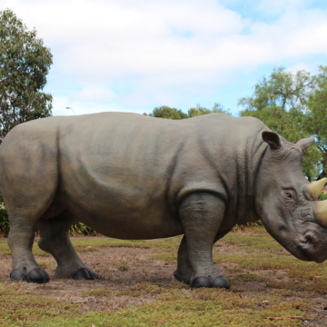 FIBREGLASS ANIMALS 4 SALE HERE OZ-RHINOS WATCH INFO VIDEOS