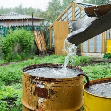 HOW I WATER MY VEGETABLE GARDEN.View this info how to Video