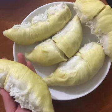 VIEW SOME STRANGE FRUITS HERE ON THIS INFO VIDEO